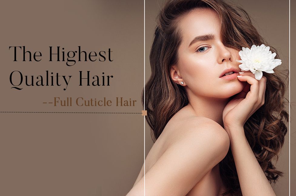 The Highest Quality Hair--Full Cuticle Hair